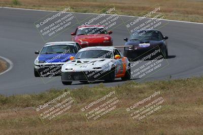 media/May-04-2024-Lucky Dog Racing (Sat) [[d39539b3f3]]/Race Pics/1015am (Turn 2)/